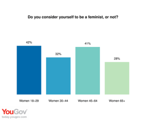 feminism survey